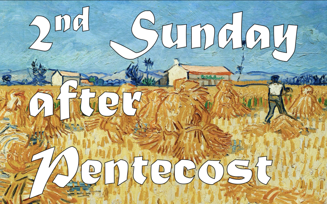 Season After Pentecost 2020 Archives - Lutheran Church Of The Master